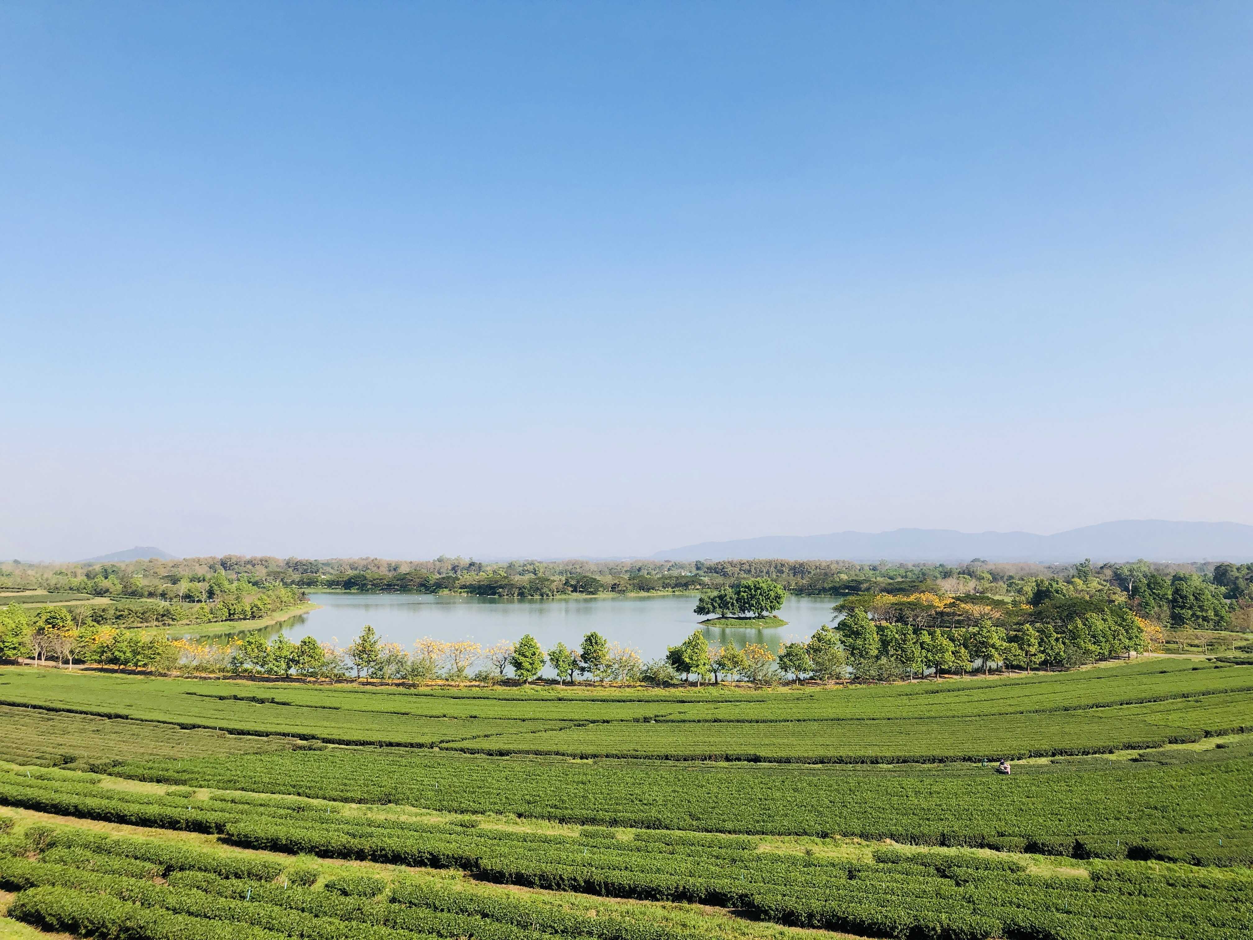 Magical Chiang Rai