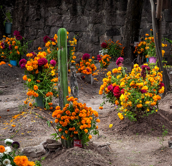 8 Days in Oaxaca: Discover the Magic of Dia de Muertos