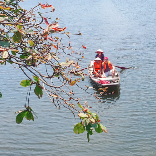 Ninh Binh Day Trip