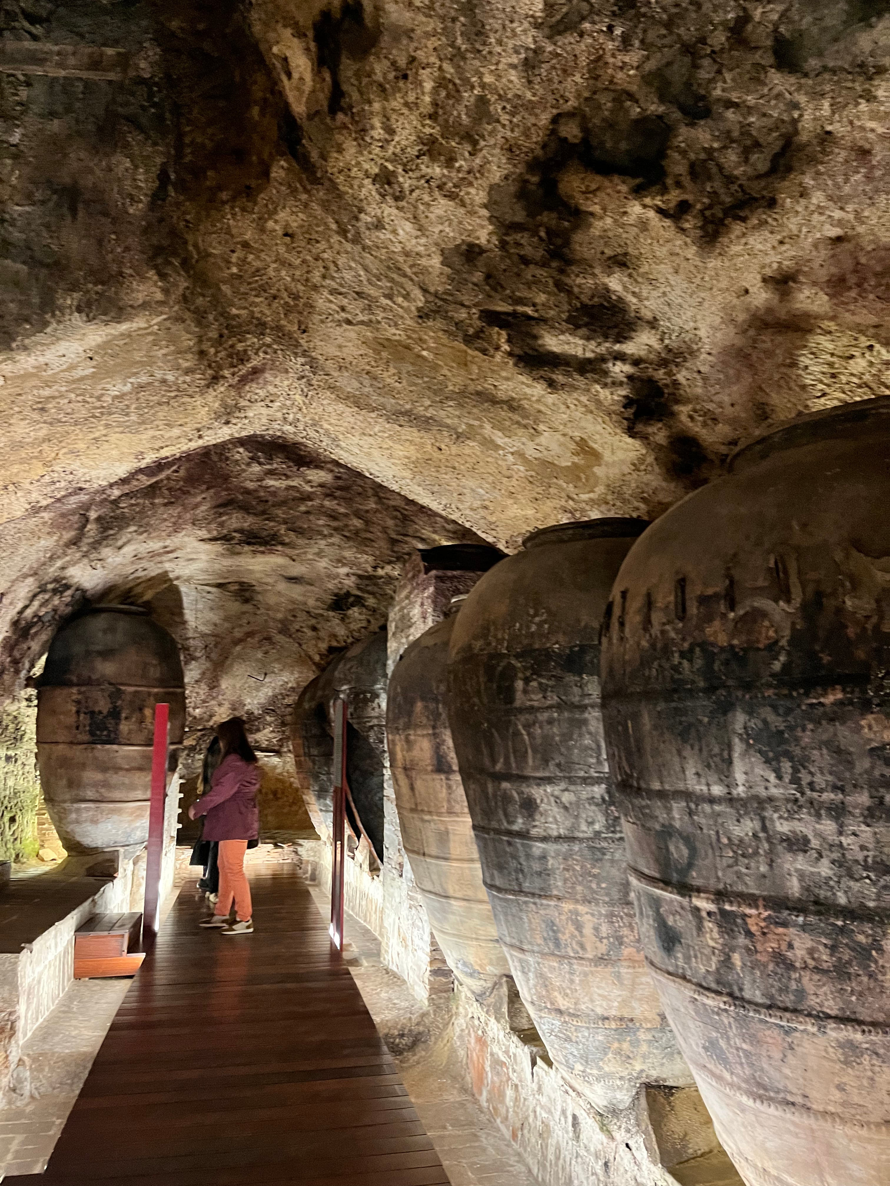 Vines and Cave Wines