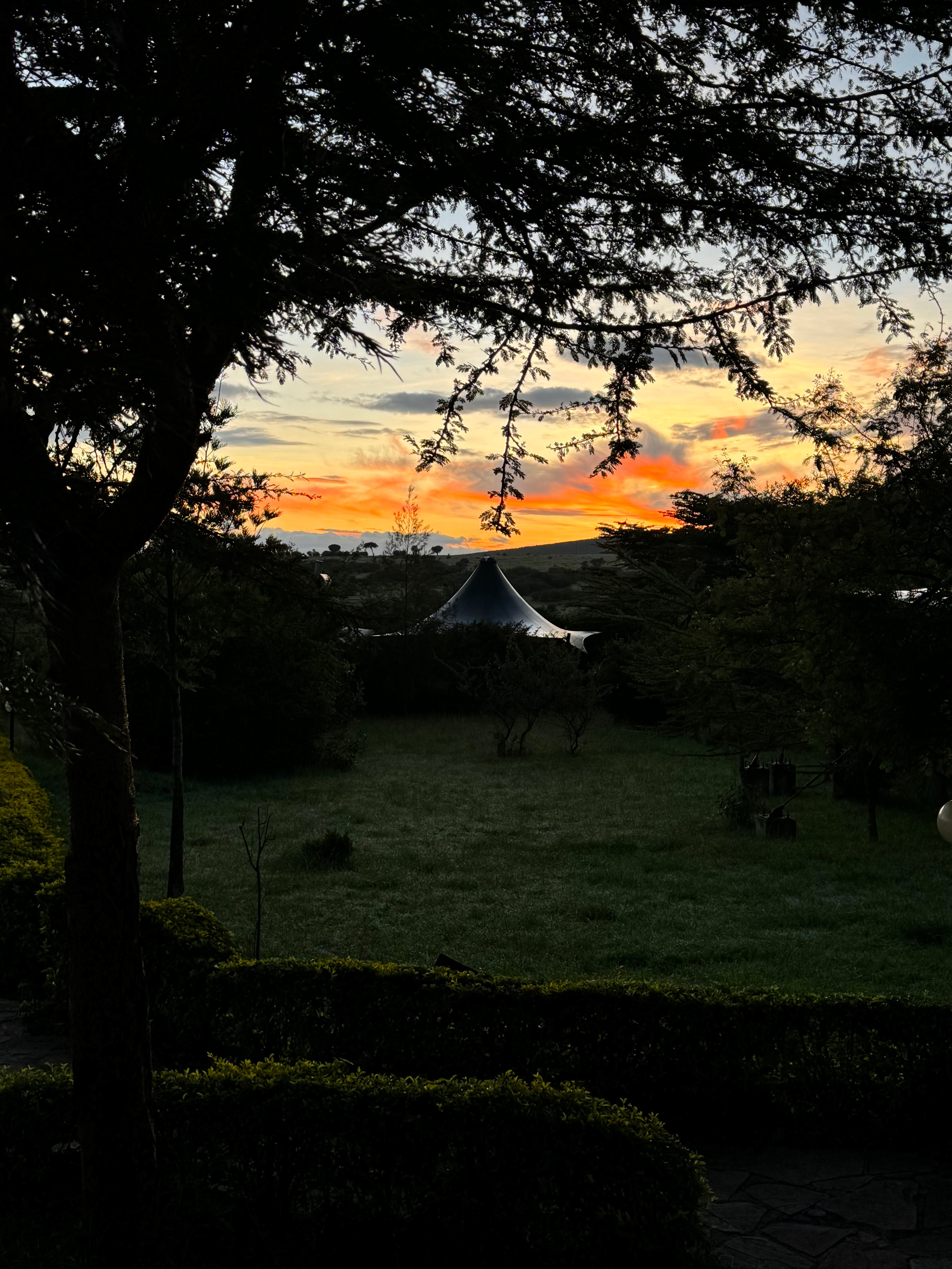 Maasai Mara Safari