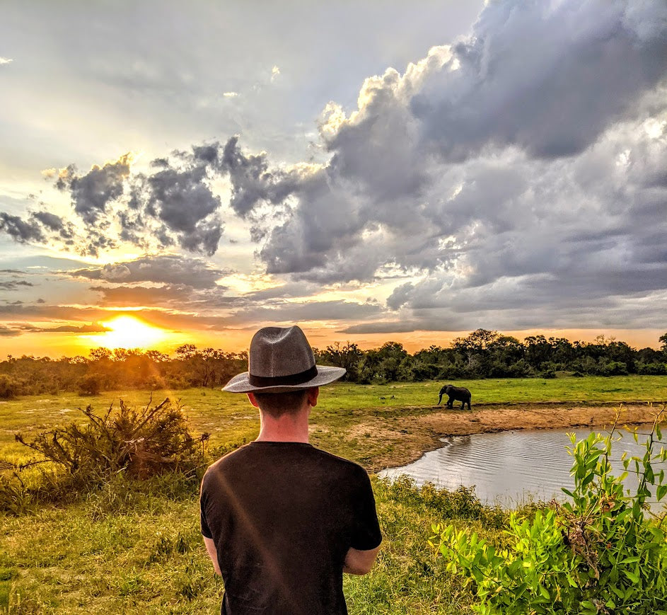 Kruger Safari Experience