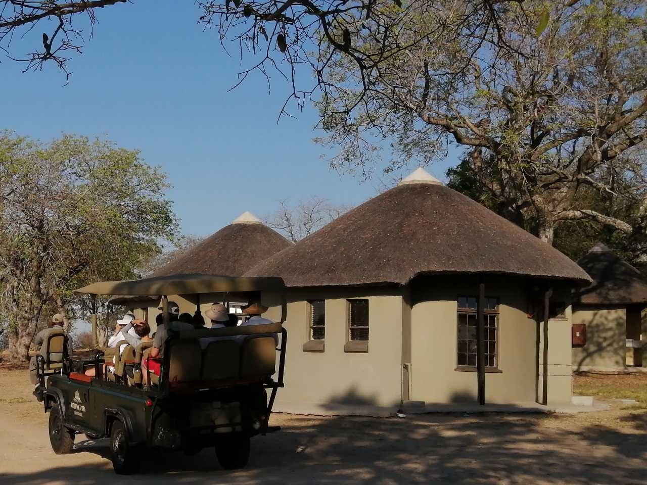 Kruger Safari Experience