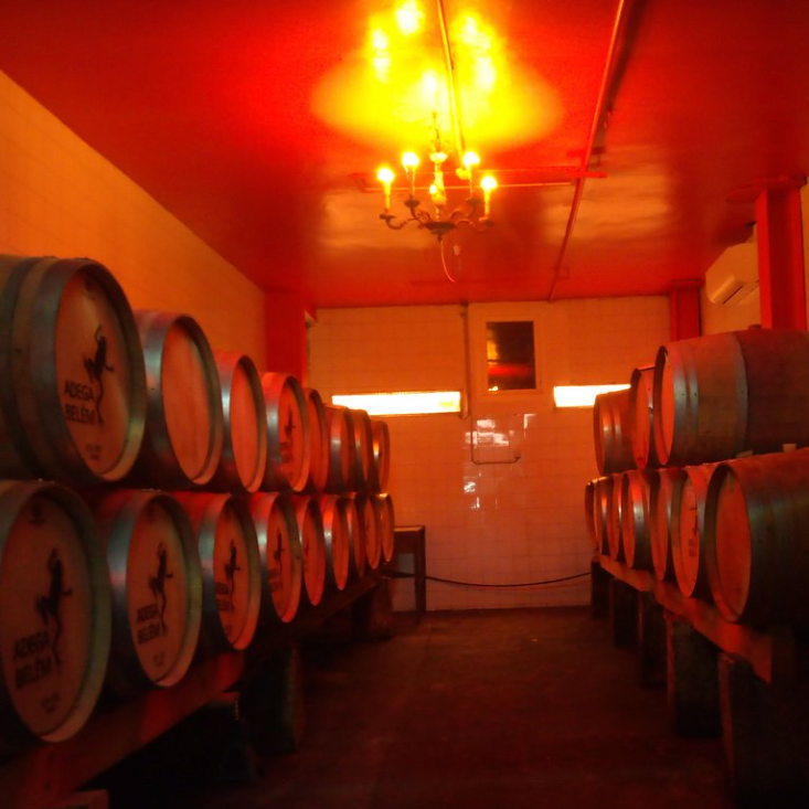 Urban Winemaking 101 - Cellar Tour, Tasting & Tapas