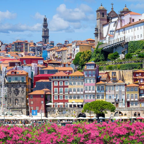Porto & Douro Roadtrip Experience