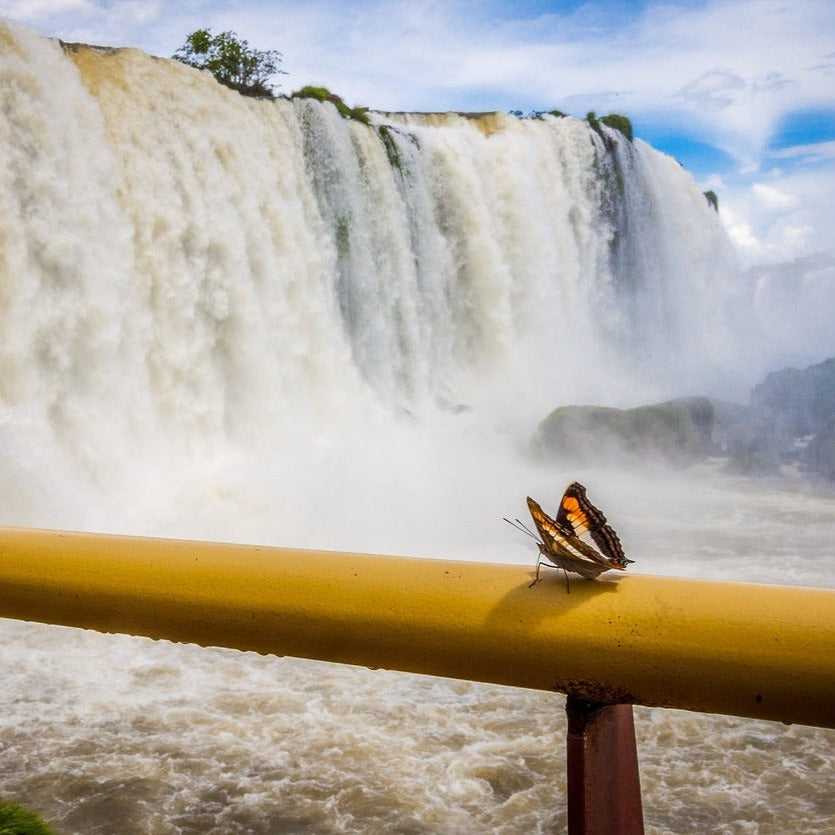 Iguazú Falls: One Of The Seven Wonders Of The World! 2024