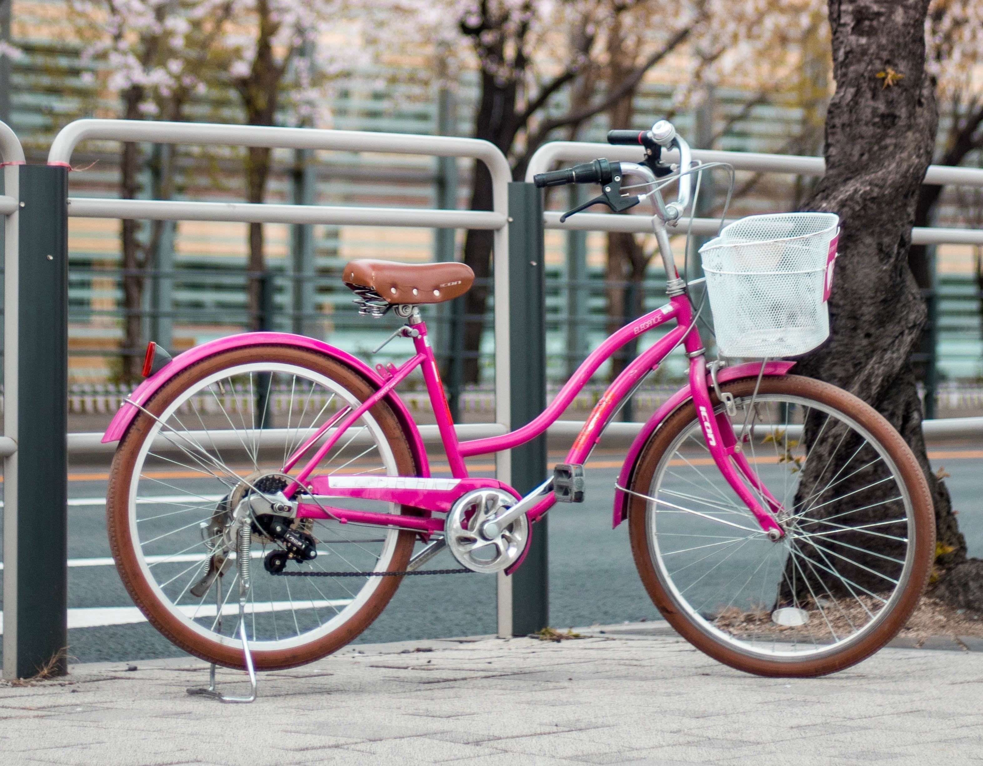 “Hidden” Kyoto Bike Tour