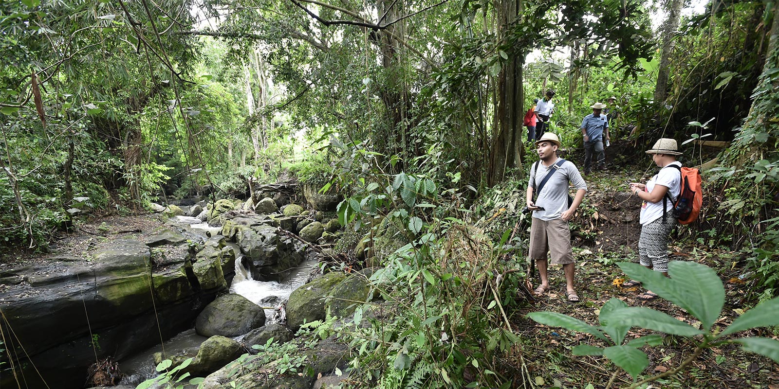 Rice Fields Eco Tourism