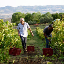 Load image into Gallery viewer, Valdibella Bio Food &amp; Wine Cooperative Rural Day