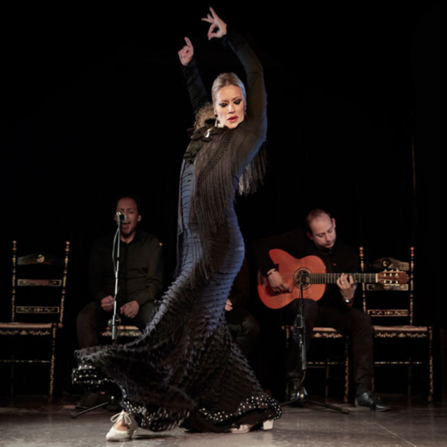 Flamenco & Dinner Show