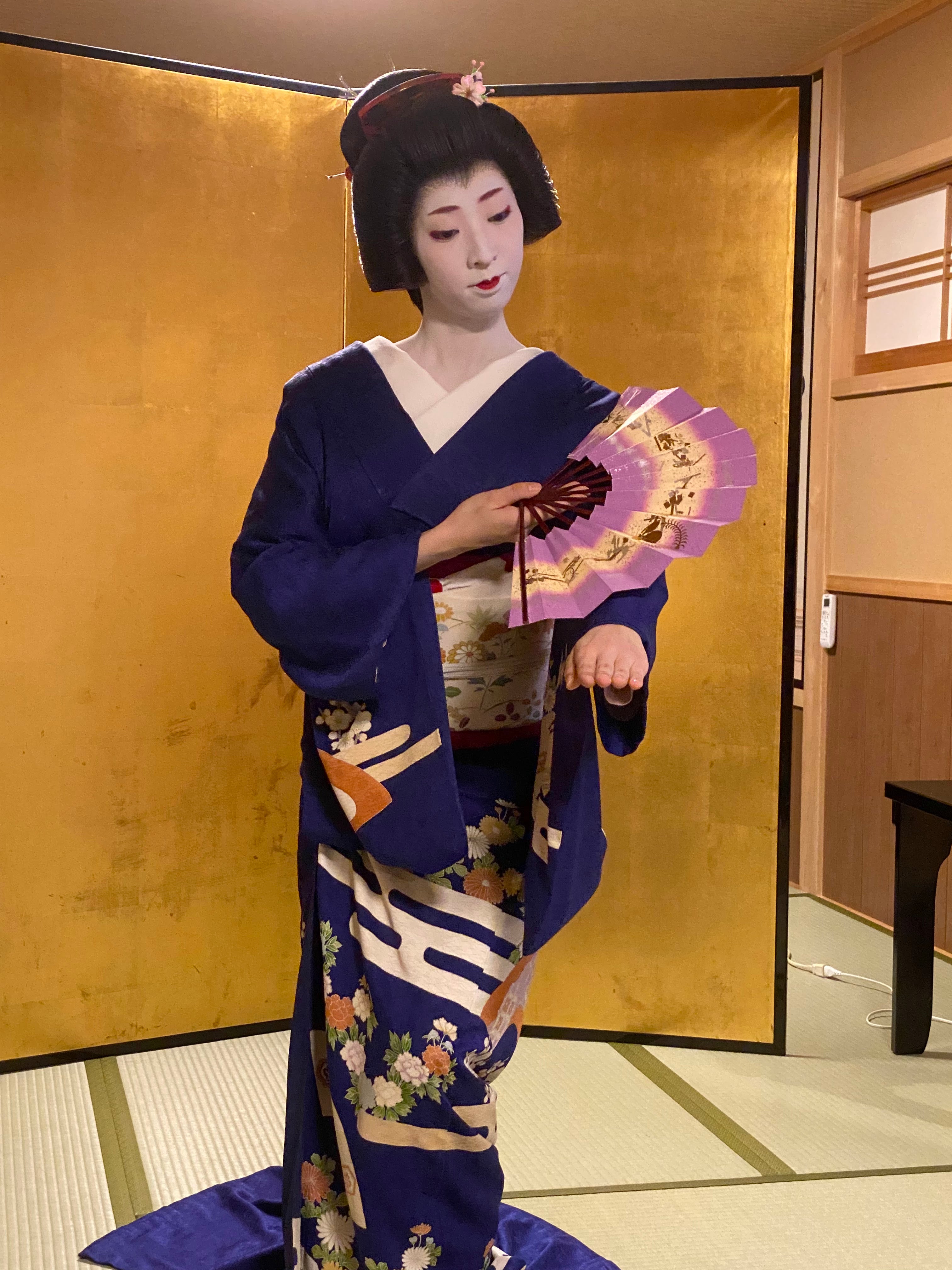 Dine with the Geisha