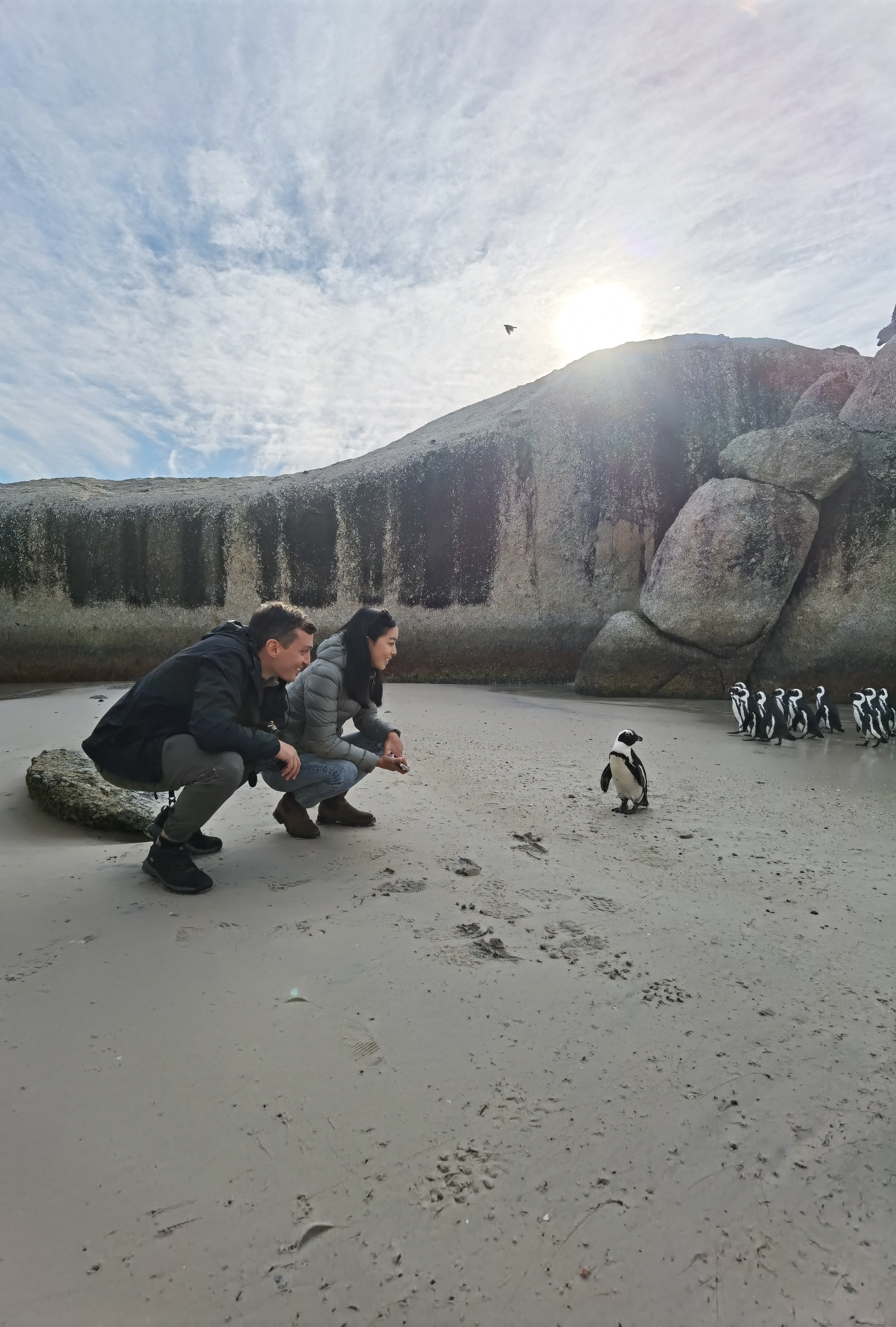 TEST Penguins & Cape Point Day Tour