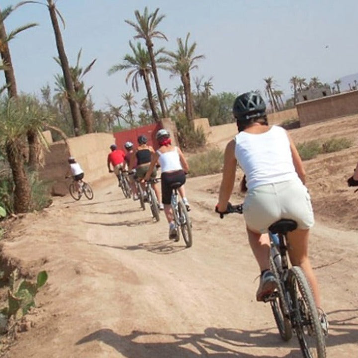 Cycling Adventure at Palm Oasis