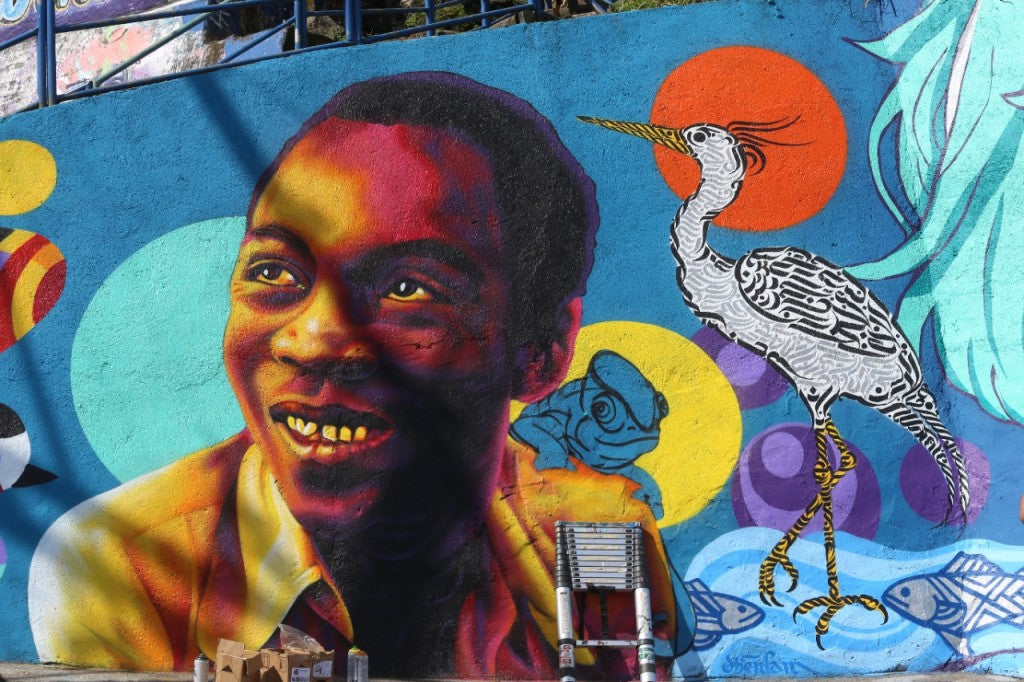 Favela da Mariquinha Street Art Tour & Cultural Immersion