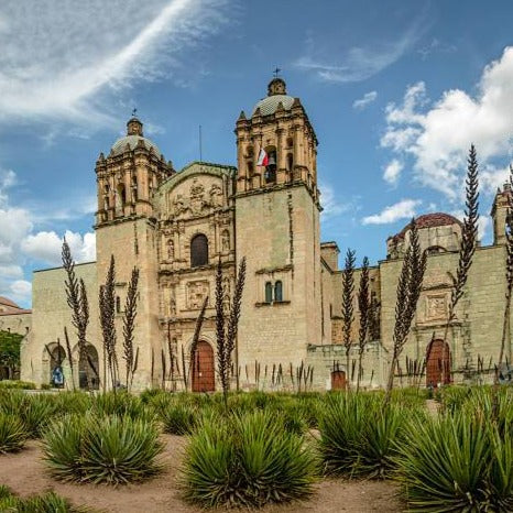 Day of the Dead in Oaxaca (5D/4N) - RY Marketplace