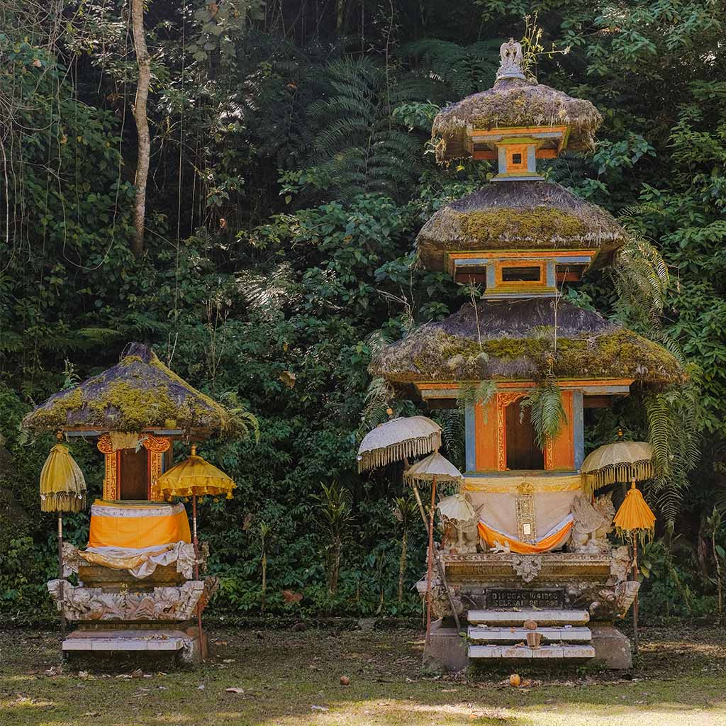 Discover Bali’s Forest Civilization