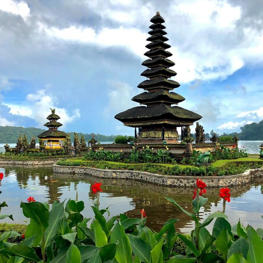 North Bali Day Trip