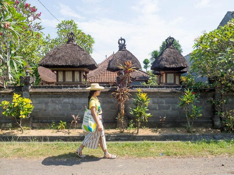 Rice Fields Eco Tourism